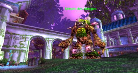 darnassus vendeur de sacs